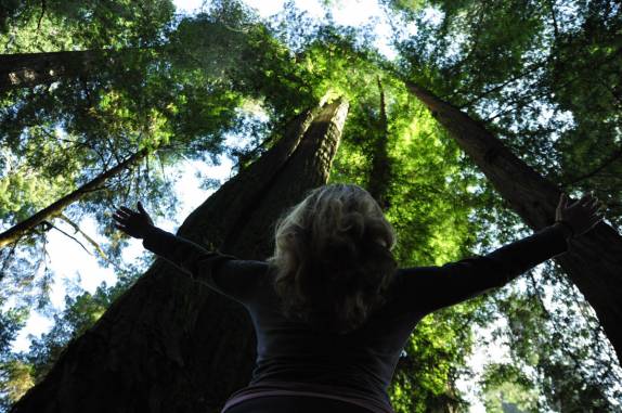 Prestando reverência às redwoods com 100 metros de altura no Redwood National Park, no norte da Califórnia, nos Estados Unidos